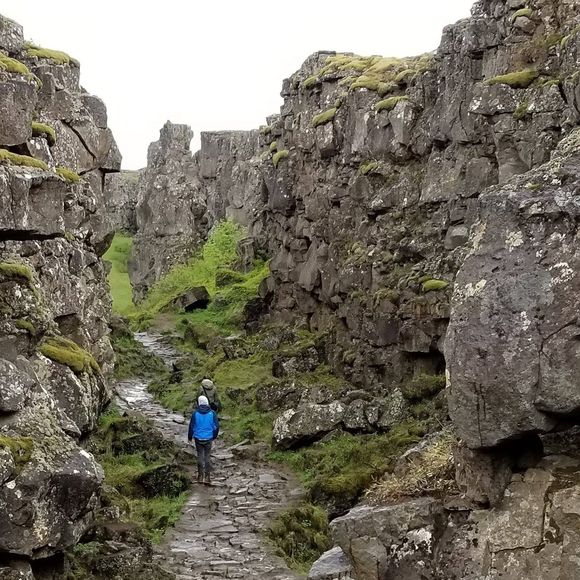 Meet your Posher, Lillian - Picture 1 of 1